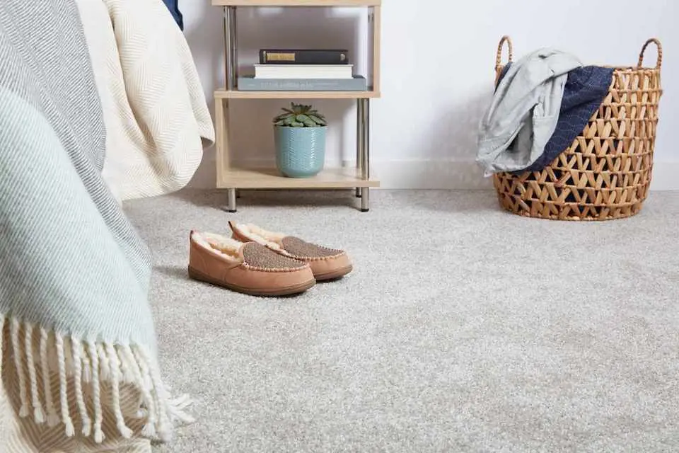 Discover the best solution for carpet installation in Malden with quality service and a free estimate. Transform your space today!